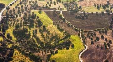 farmland