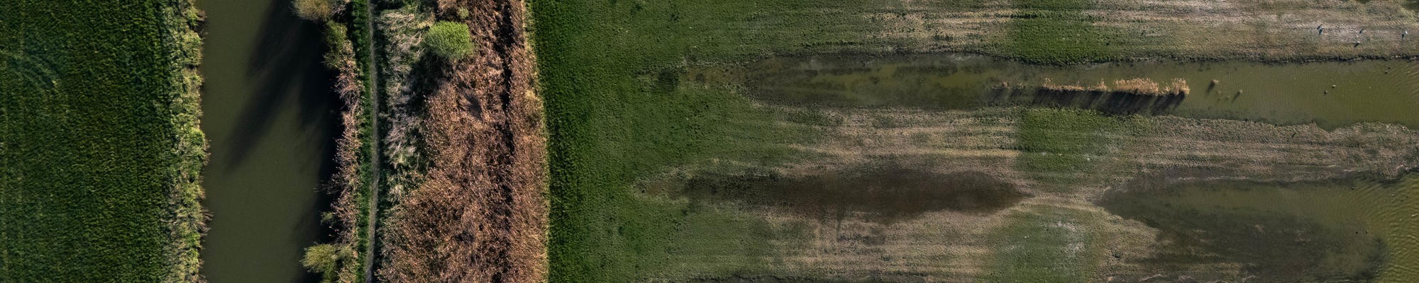 Birds eye view of a field and water way
