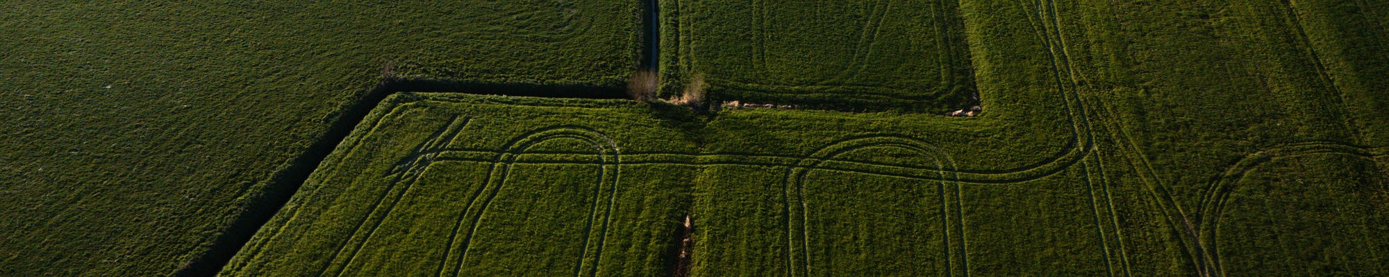 Patterned fields from above