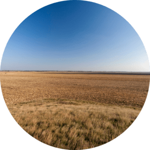 Wide Shot of the Hungarian Great Plain